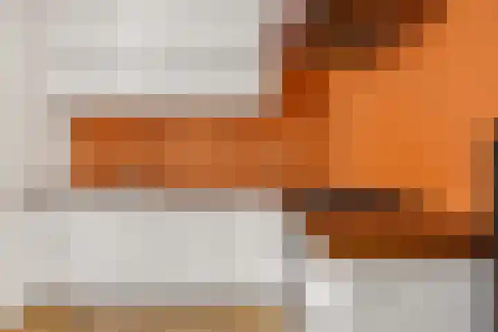 Bocht van Guinea 6 Groningen thumbnail 7