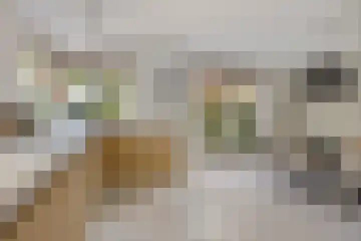 Bochtakker 25 Prinsenbeek thumbnail 10