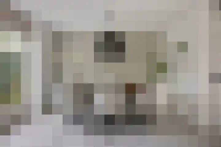 Bochtakker 25 Prinsenbeek thumbnail 12