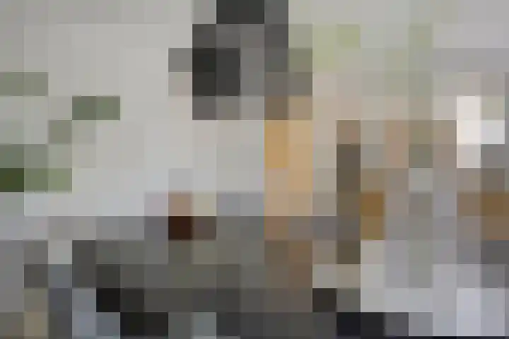 Bochtakker 25 Prinsenbeek thumbnail 13