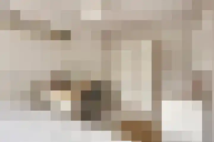 Bochtakker 25 Prinsenbeek thumbnail 21