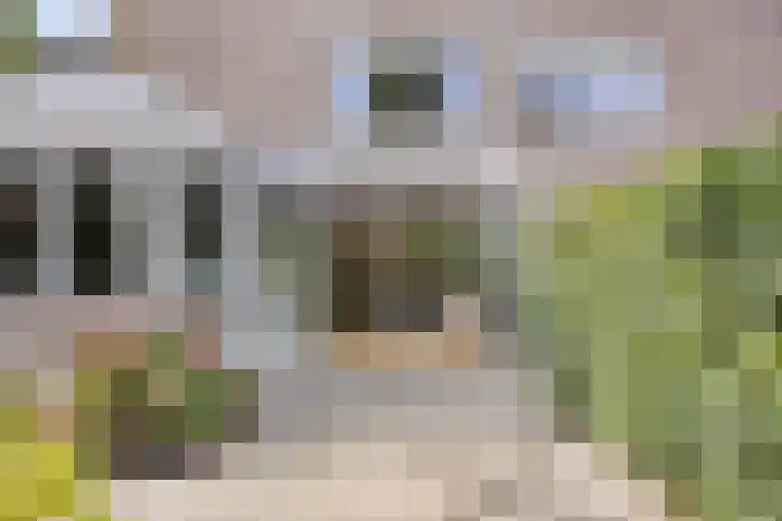 Bochtakker 25 Prinsenbeek thumbnail 36