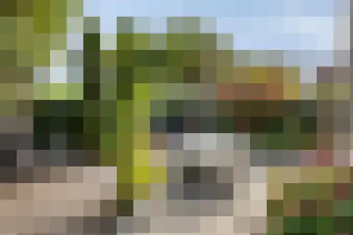 Bochtakker 25 Prinsenbeek thumbnail 37