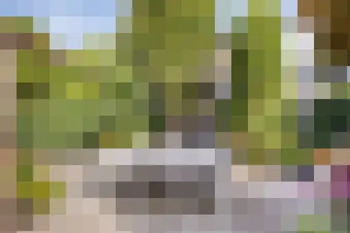 Bochtakker 25 Prinsenbeek thumbnail 38