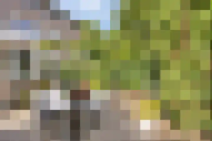 Bochtakker 25 Prinsenbeek thumbnail 39