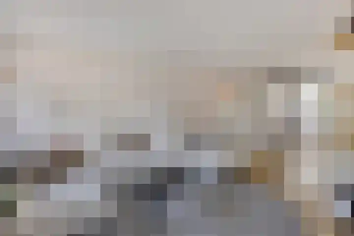 Bochtakker 25 Prinsenbeek thumbnail 4