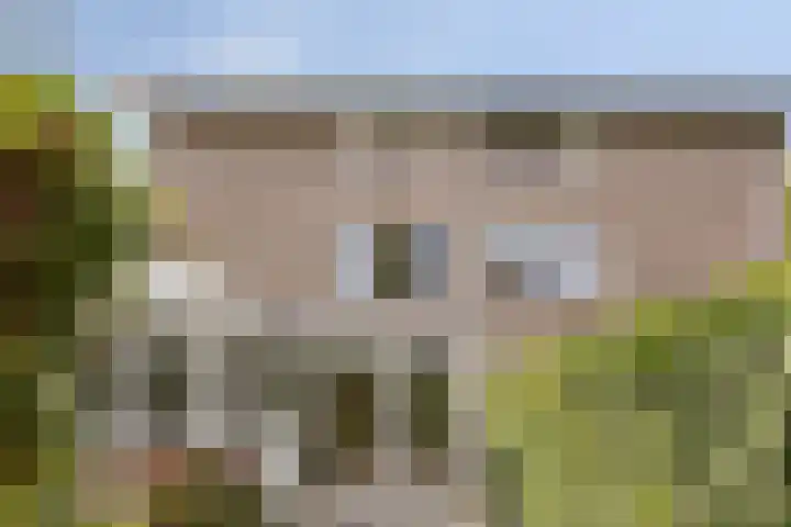 Bochtakker 25 Prinsenbeek thumbnail 41
