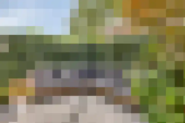 Bochtakker 25 Prinsenbeek thumbnail 42