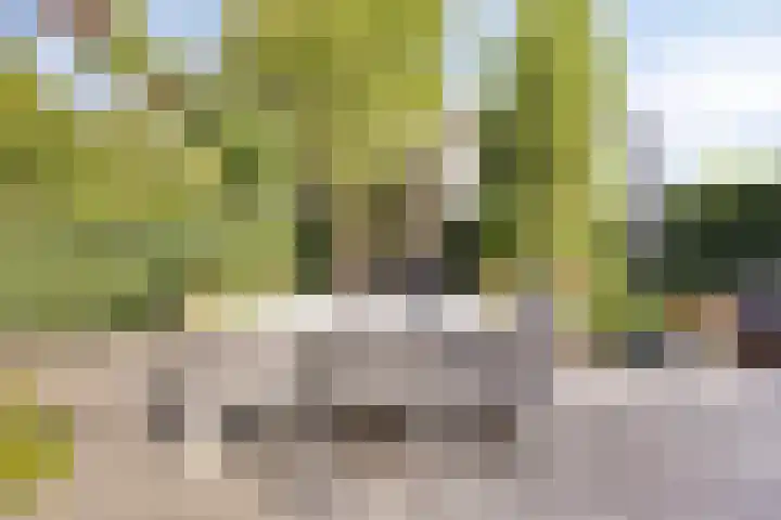 Bochtakker 25 Prinsenbeek thumbnail 43