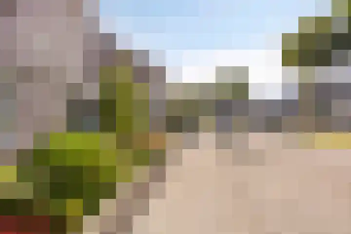 Bochtakker 25 Prinsenbeek thumbnail 44