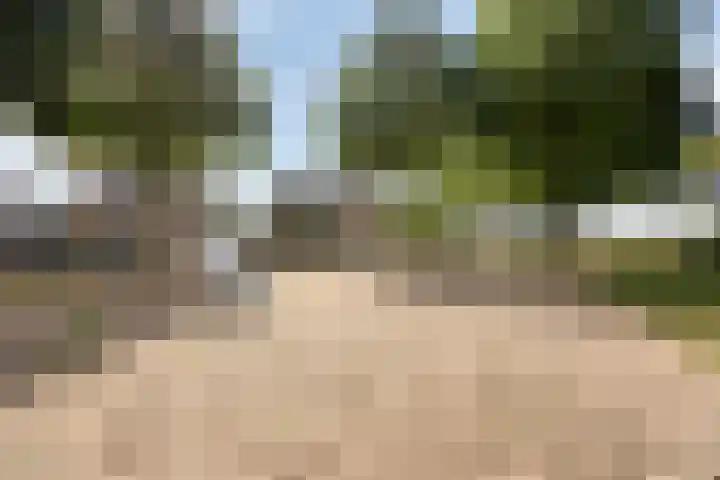 Bochtakker 25 Prinsenbeek thumbnail 45