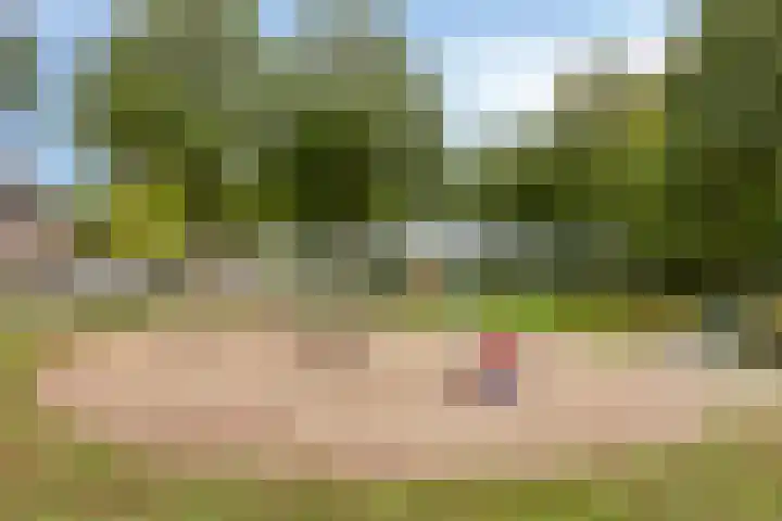 Bochtakker 25 Prinsenbeek thumbnail 46