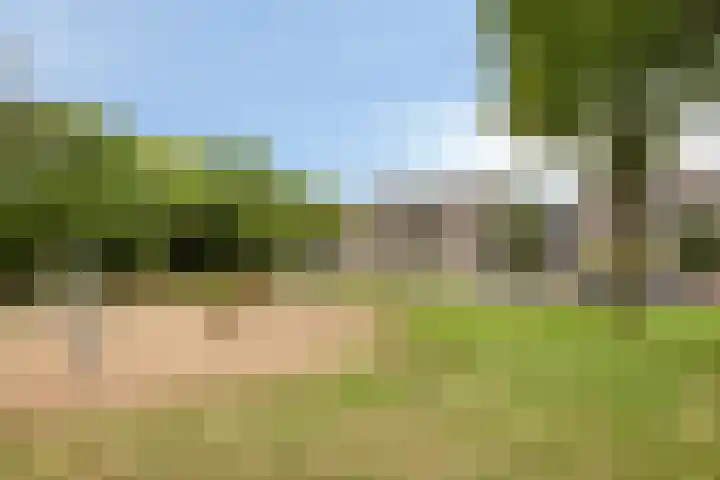 Bochtakker 25 Prinsenbeek thumbnail 47