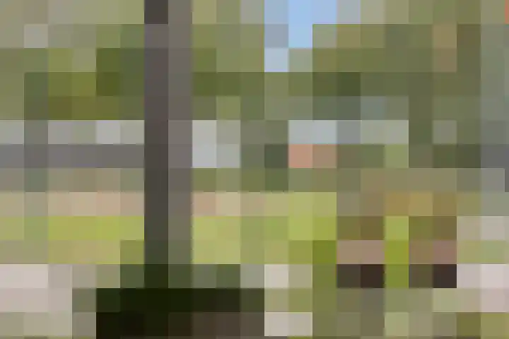 Bochtakker 25 Prinsenbeek thumbnail 48