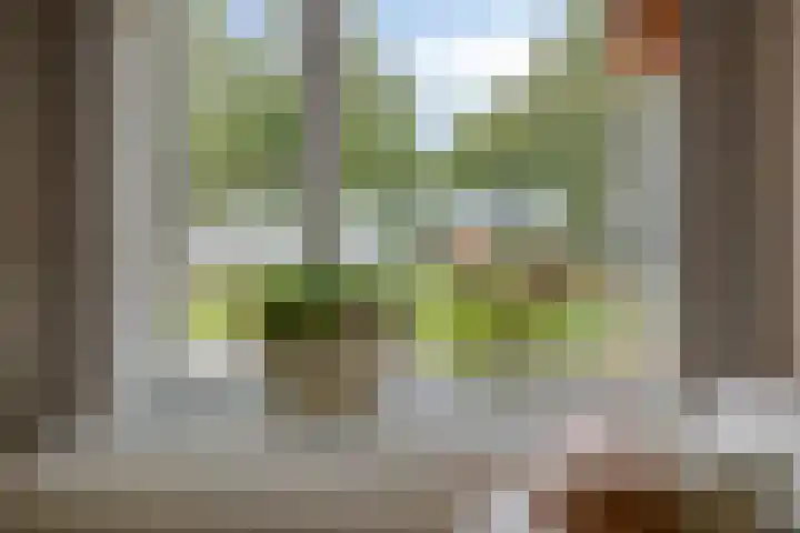 Bochtakker 25 Prinsenbeek thumbnail 6