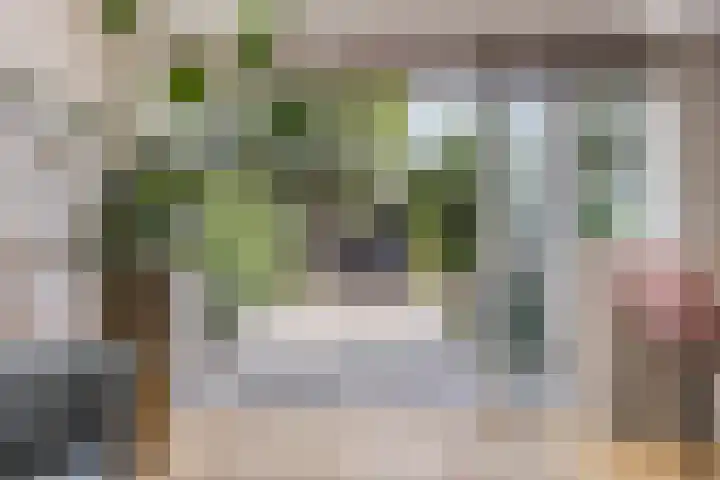 Bochtakker 25 Prinsenbeek thumbnail 8