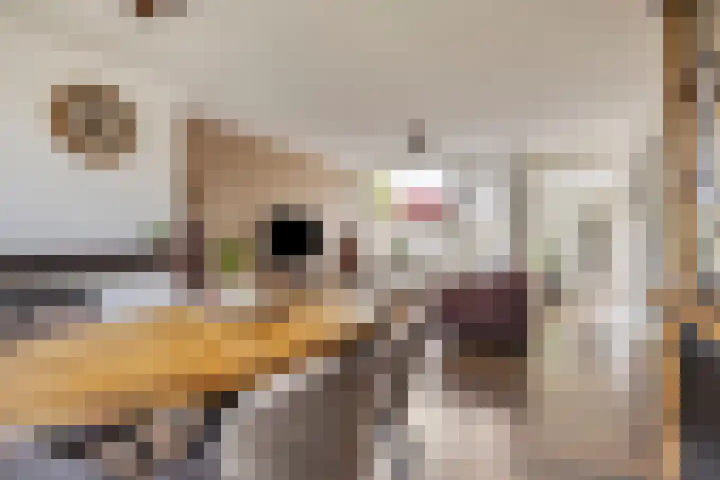 Bochtje 3 Riel thumbnail 21