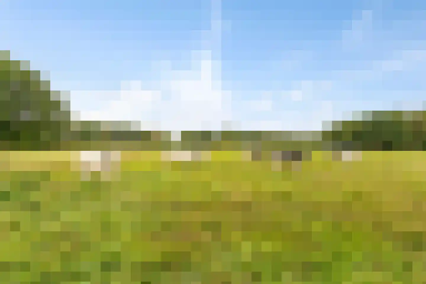 Bochtje 3 Riel thumbnail 56