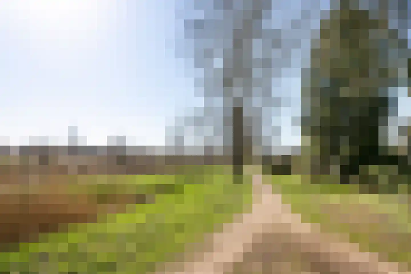 Bochtje 3 Riel thumbnail 57