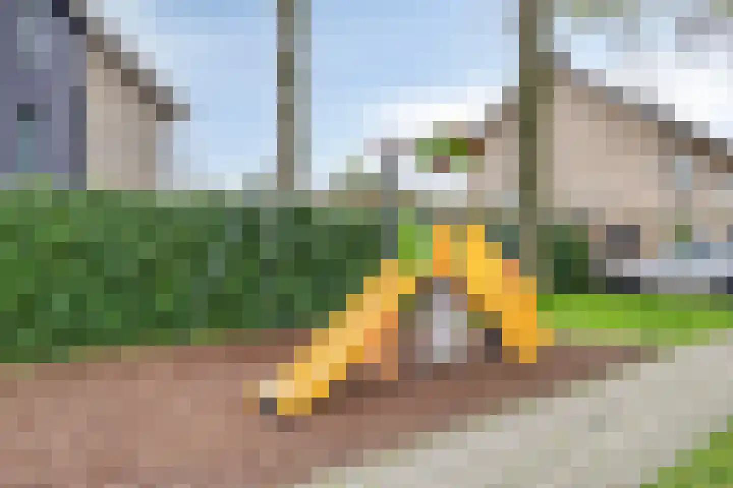Bochtje 3 Riel thumbnail 61