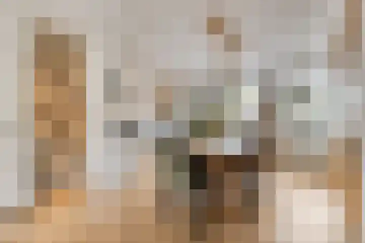 Bochtmoeren 5 Breda thumbnail 11