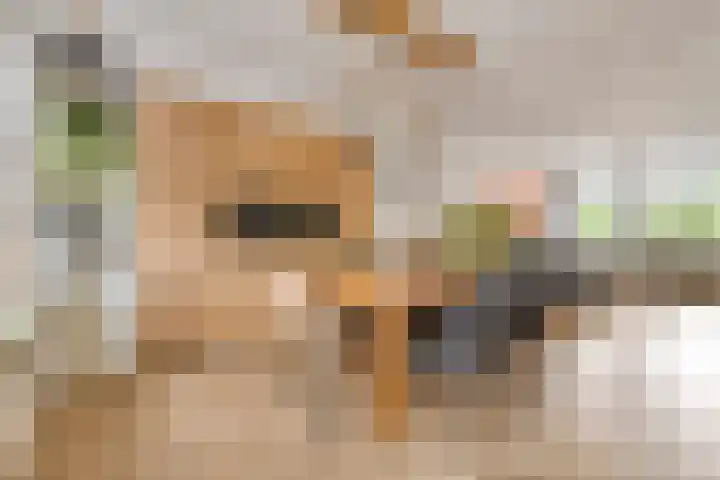Bochtmoeren 5 Breda thumbnail 12
