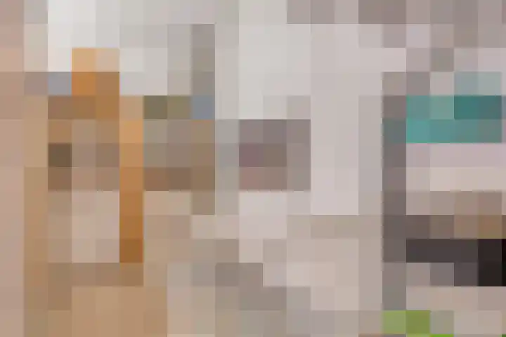 Bochtmoeren 5 Breda thumbnail 21