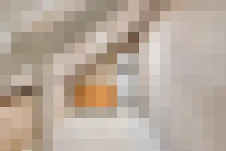 Bochtmoeren 5 Breda thumbnail 22