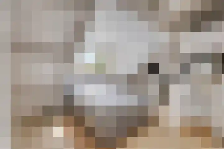 Bochtmoeren 5 Breda thumbnail 24