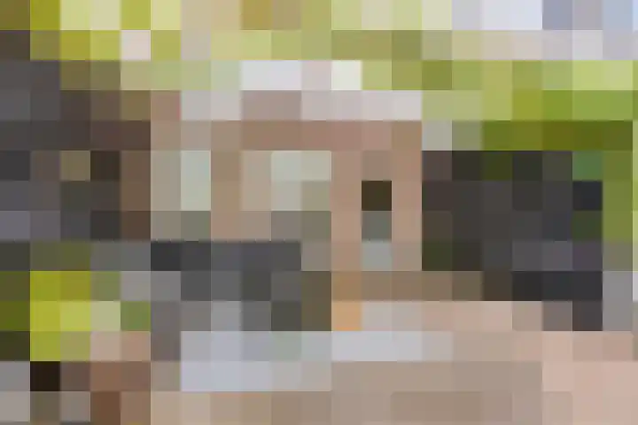 Bochtmoeren 5 Breda thumbnail 31