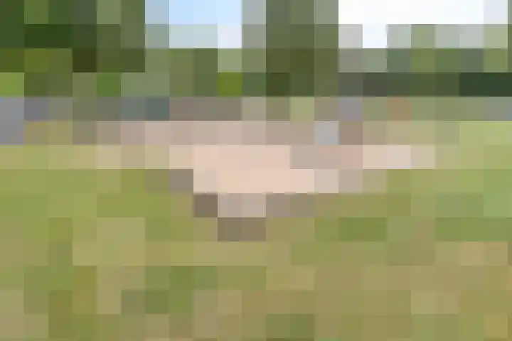 Bochtmoeren 5 Breda thumbnail 32