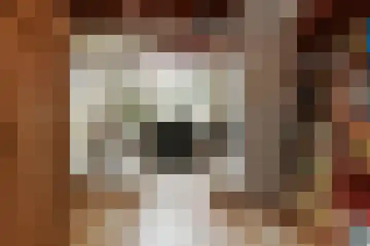 Bochtstraat 2 Ospel thumbnail 22