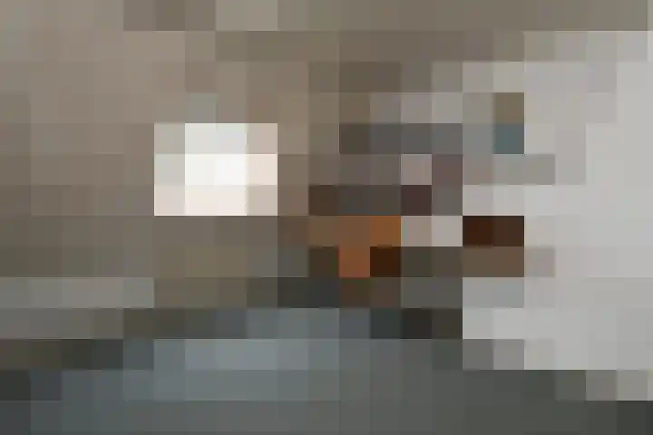 Bochtstraat 2 Ospel thumbnail 31