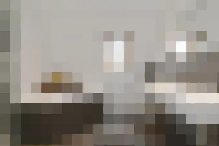 Bochtstraat 2 Ospel thumbnail 32