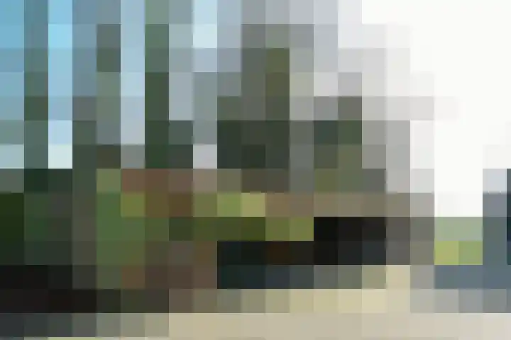 Bochtstraat 2 Ospel thumbnail 43
