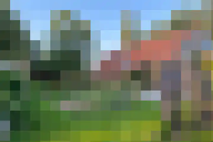 Bochtstraat 2 Ospel thumbnail 64