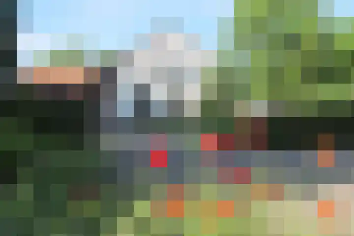 Bochtstraat 2 Ospel thumbnail 68