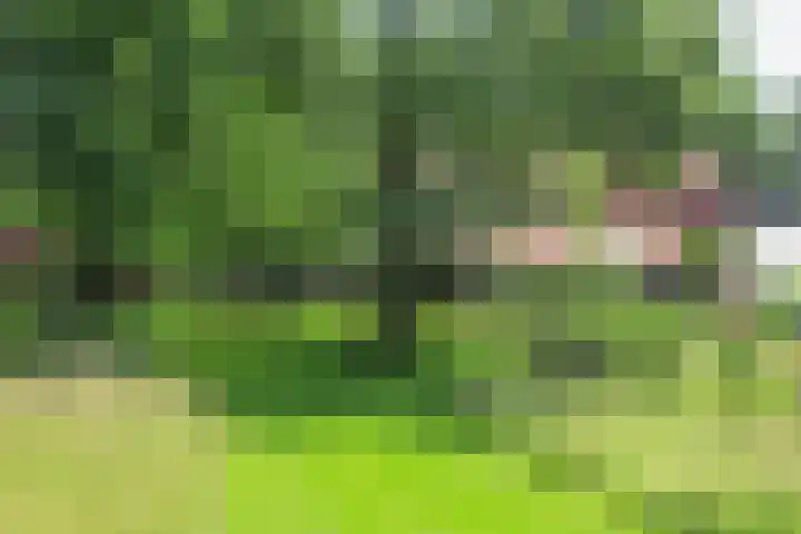Bochtstraat 2 Ospel thumbnail 69