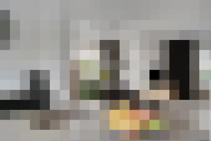 Bockendonk 38 Helmond thumbnail 14