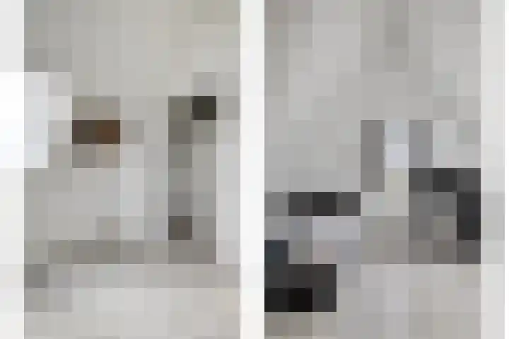 Bockendonk 38 Helmond thumbnail 38
