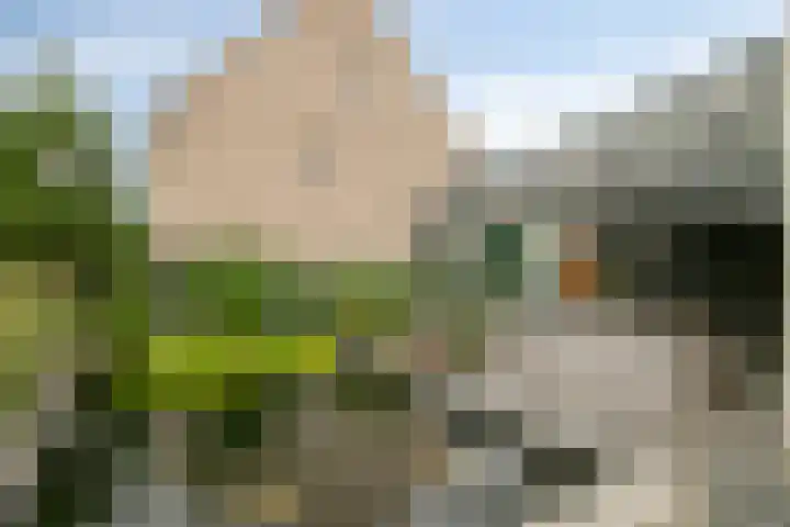 Bockendonk 38 Helmond thumbnail 42