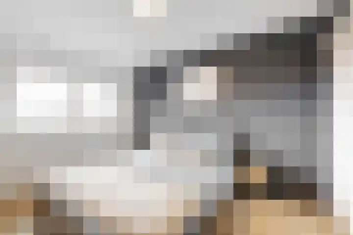 Bockhoutstraat 20 Eygelshoven thumbnail 17