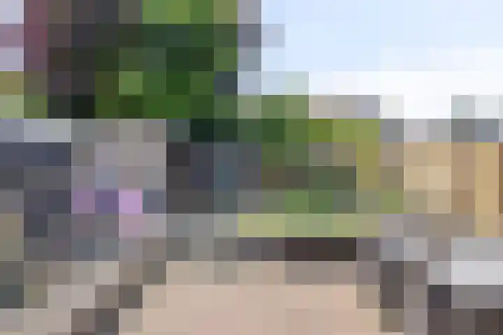 Bockhoutstraat 9 Eygelshoven thumbnail 28