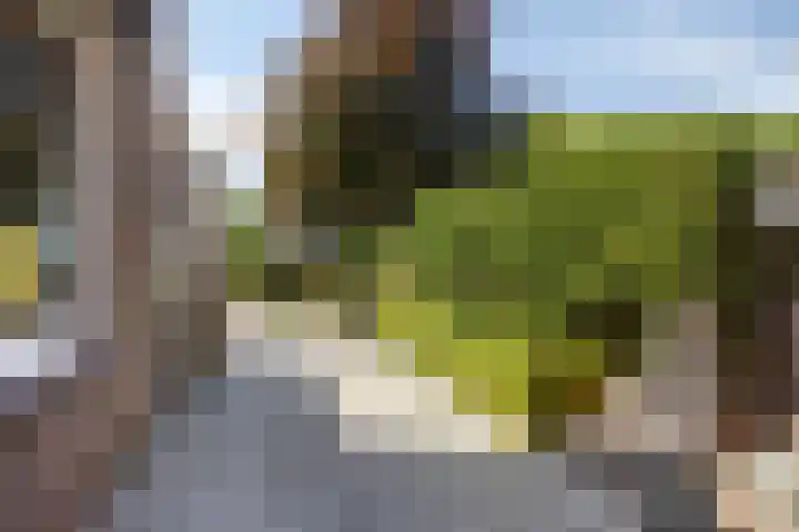 Bockstraat 80 Kerkrade thumbnail 28