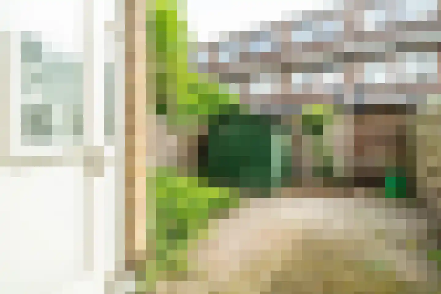 Boddaertstraat 28 Den Haag thumbnail 16