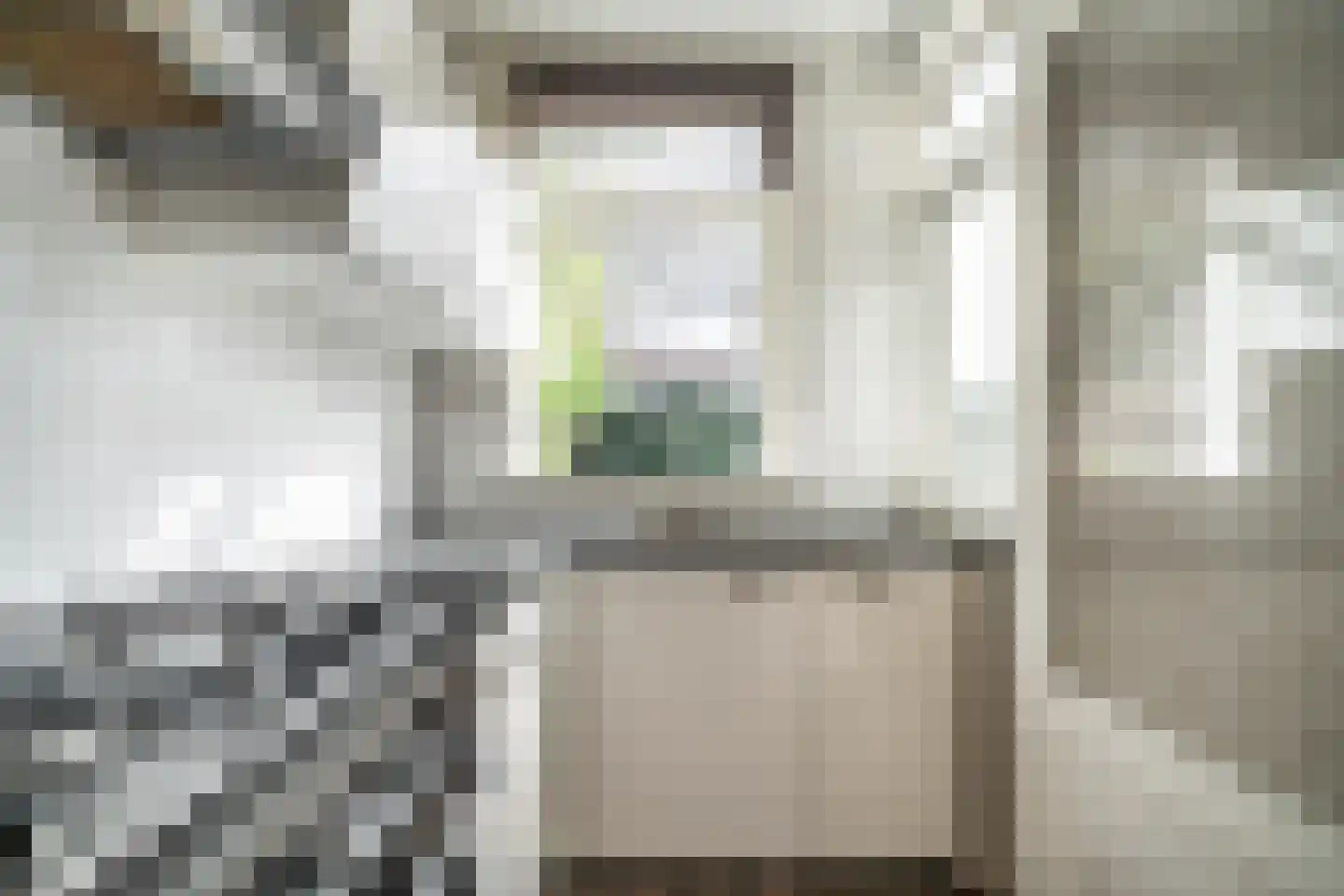 Boddaertstraat 28 Den Haag thumbnail 19