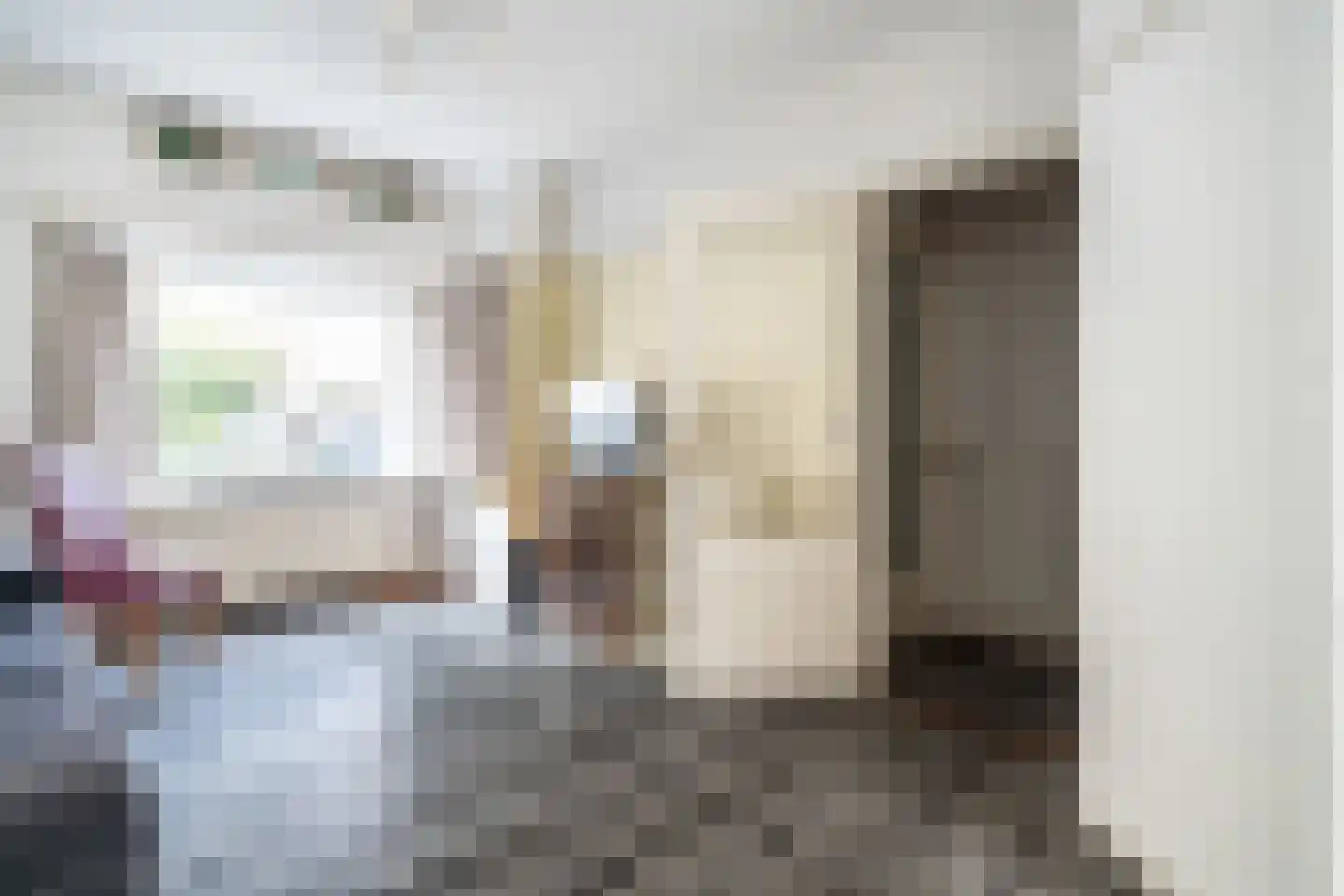 Boddaertstraat 28 Den Haag thumbnail 9