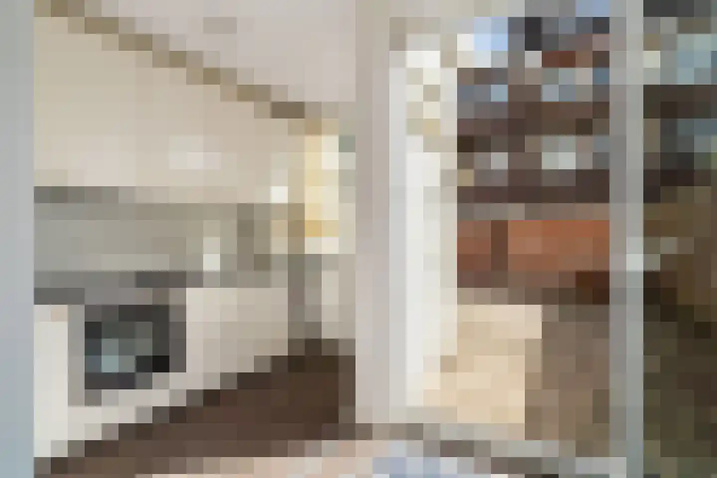 Boddaertstraat 42 Den Haag thumbnail 11
