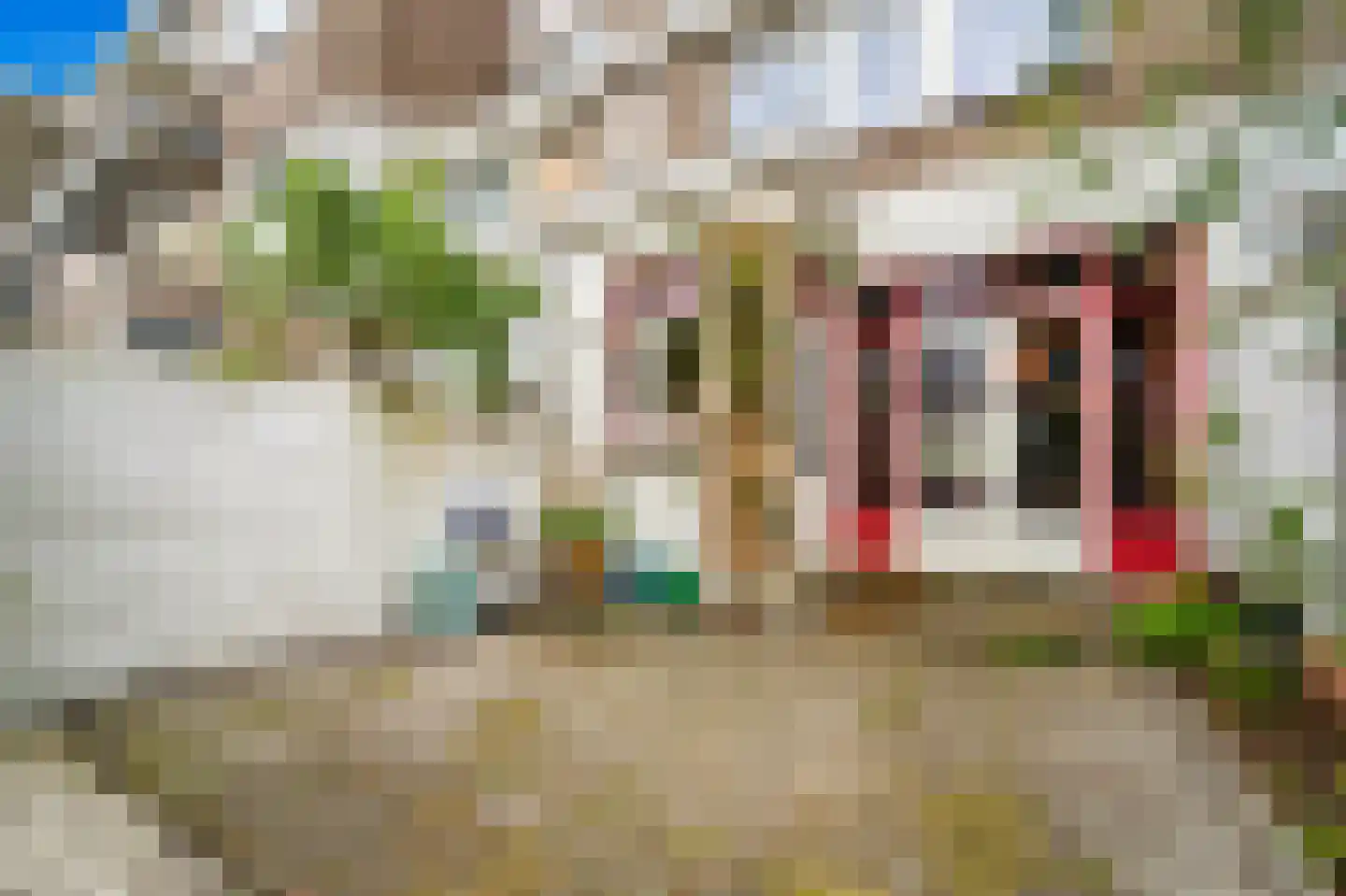 Boddaertstraat 52 Den Haag thumbnail 12