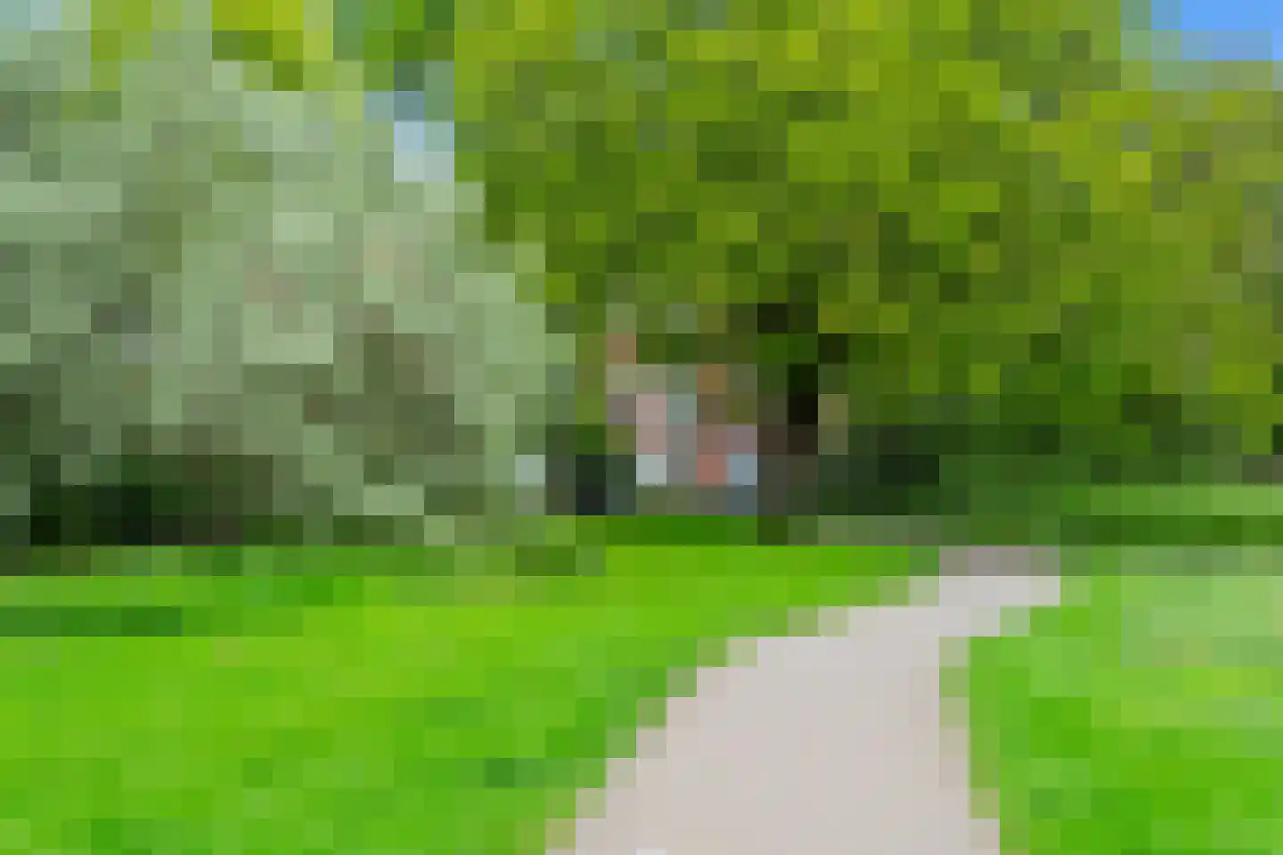 Boddaertstraat 52 Den Haag thumbnail 42
